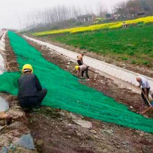 三維植被網(wǎng)護(hù)坡施工現(xiàn)場